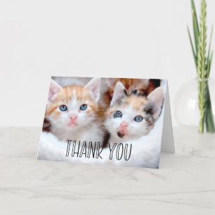 Cute Kittens Photo Whimsical Typography Tack Kort
