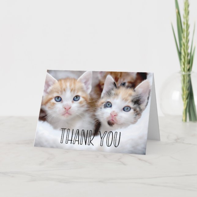 Cute Kittens Photo Whimsical Typography Tack Kort (Framsida)