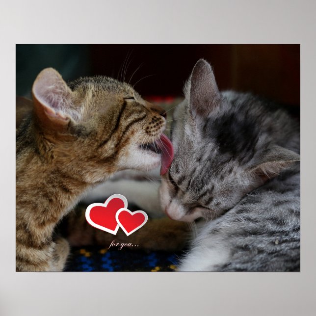 Cute kittens poster (Framsidan)