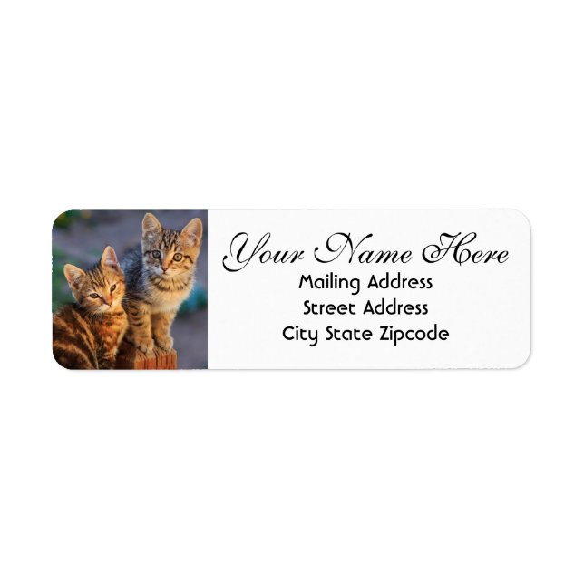 Cute Kittens Returadress Returadress Etikett (Framsidan)