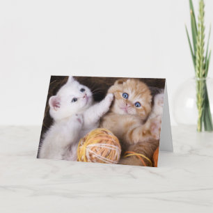 Cute Kittens saknar ditt kort