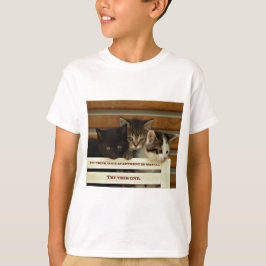 Cute kittens tee shirt