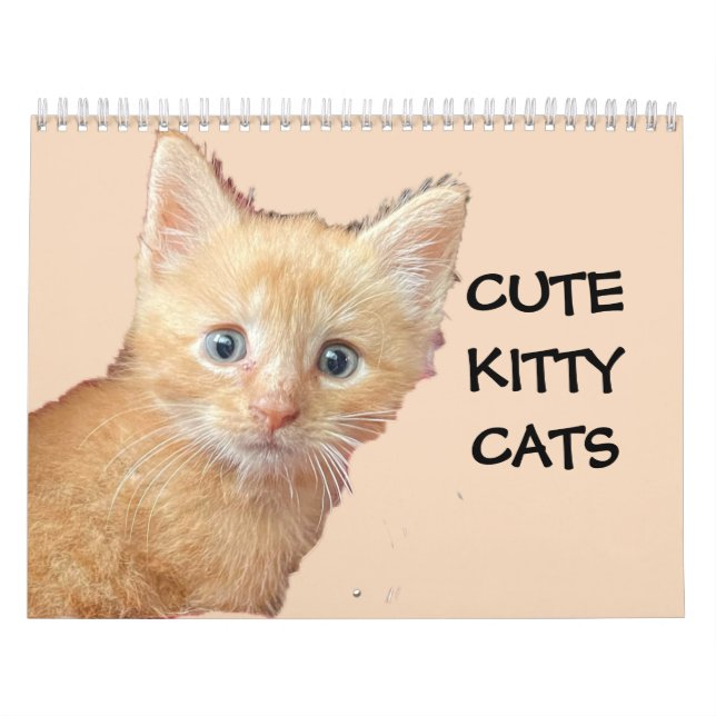 CUTE KITTIE CATS-kalender Kalender (Omslag)