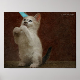 Cute Kittie Poster
