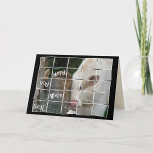 Cute ko för att få bra. kort