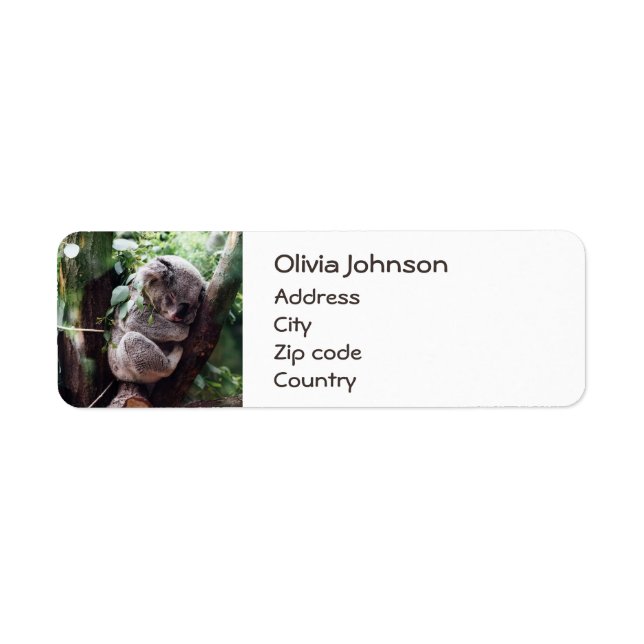 Cute Koala Bear-avslappning i Träd Returadress Etikett (Framsidan)