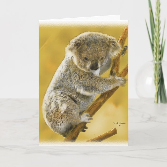 Cute...Koala Bear...Card! Kort (Framsida)