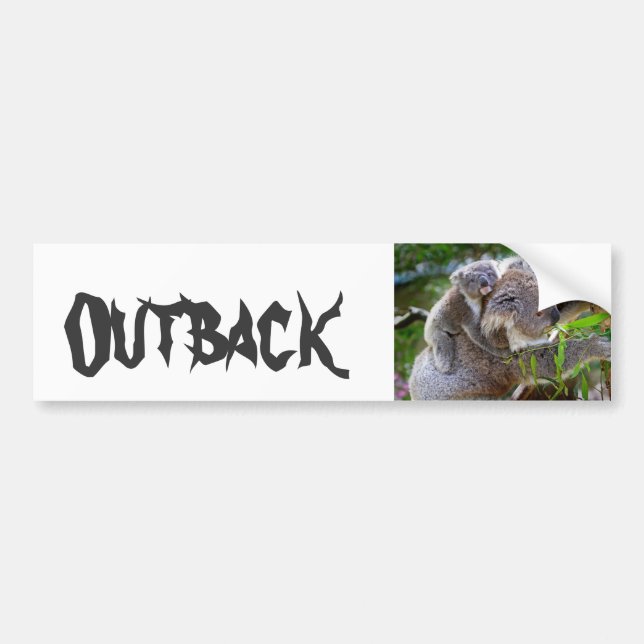 Cute Koala Bear Destiny Nature Aussi Outback Bildekal (Framsidan)