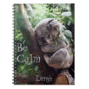Cute Koala Bear Djur älskare Journal Anteckningsbok