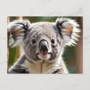 Cute Koala Bear Helg Vykort