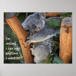 Cute Koala Bear, jag är pensionerad, jag kan sova  Poster