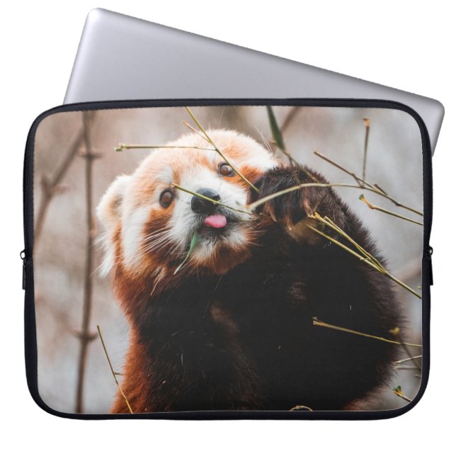 CUTE KOALA BEAR LAPTOP FODRAL (Framsidan)