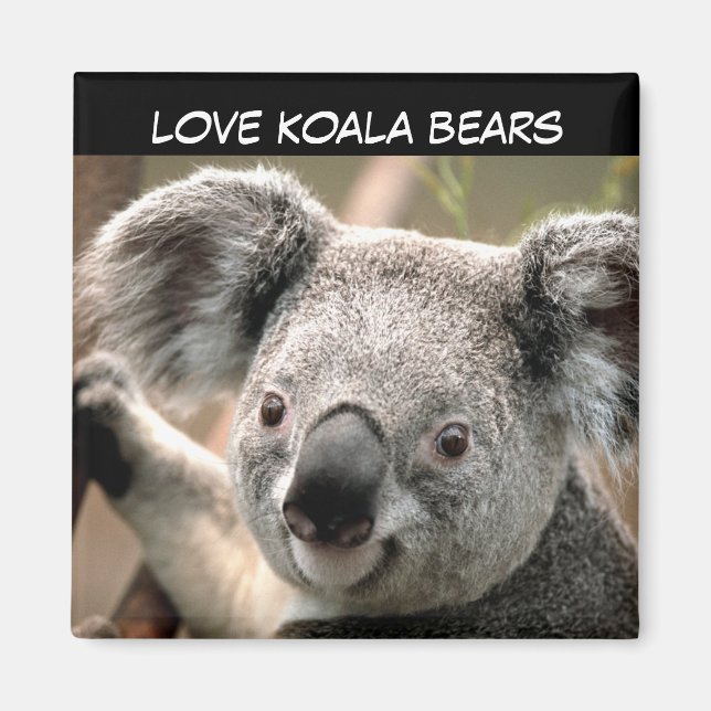 Cute Koala Bear Magnet (Framsidan)
