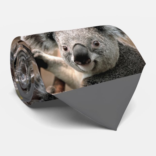 Cute Koala Bear Photo Tie (grått-bakgrund) Slips (Rullad)