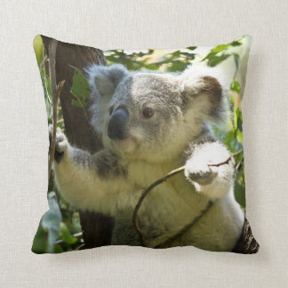 Cute Koala Bear Pillow Kudde