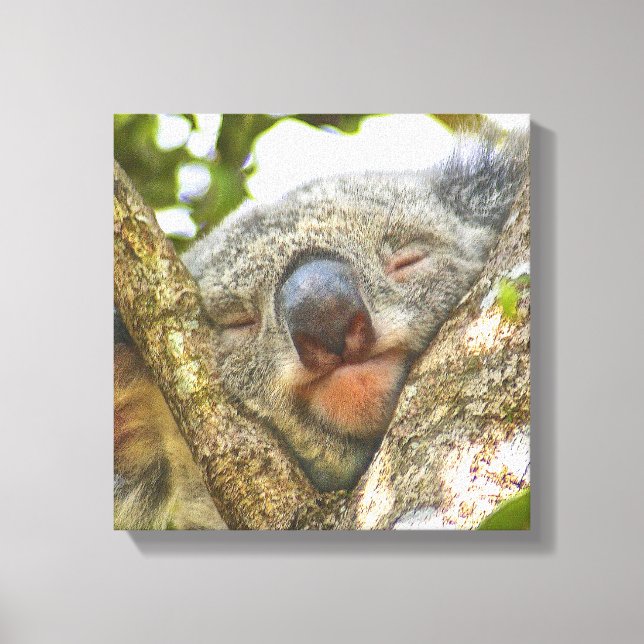 Cute Koala Bear Wrapped Canvas (Framsida)