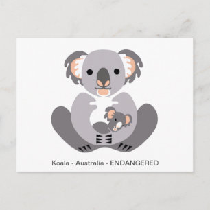 Cute KOALA - Djurälskare - Vildlife - Marsupial Vykort