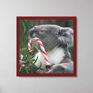 Cute Koala Eating Candy cane Canvastryck