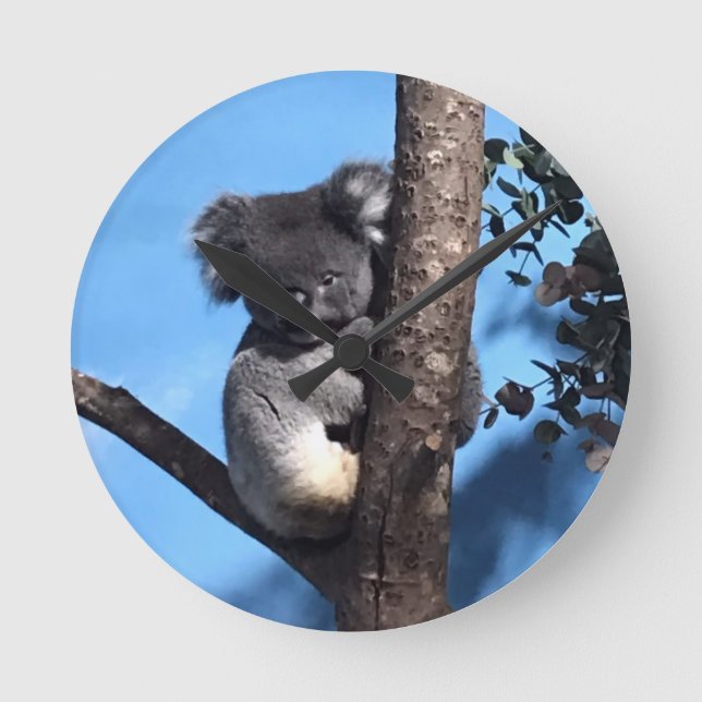 Cute Koala i träd med blå bakgrund Rund Klocka (Framsida)