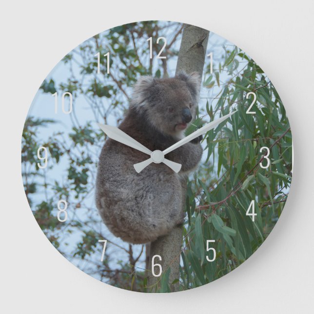 Cute Koala klättrar i ett Träd-Australien Stor Klocka (Framsida)