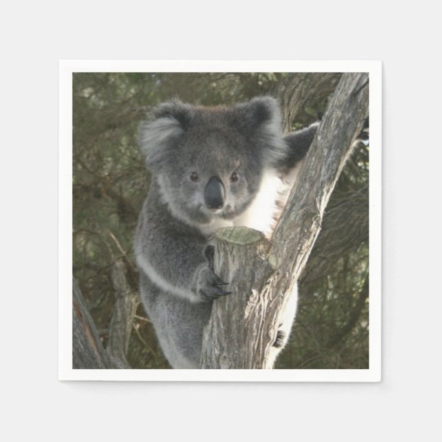 Cute Koala klättrar i Träd Pappersservett (Framsidan)