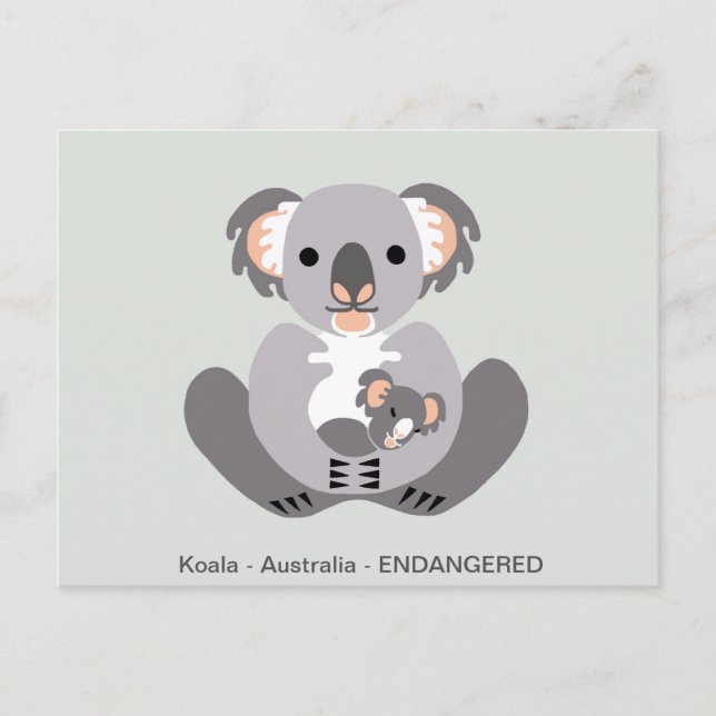 Cute KOALA - Marsupial - Farligt djur Vykort (Framsida)