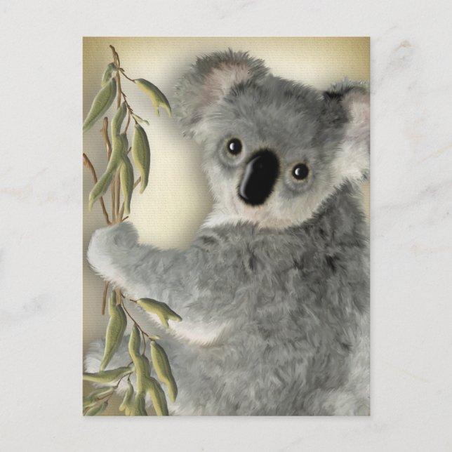 Cute Koala Vykort (Framsida)