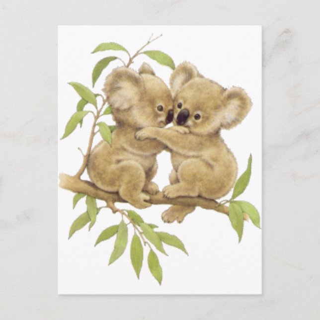 Cute Koalas Vykort (Framsida)