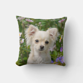 Cute kräm Chihuahua Hund Puppy Photo - Kudde