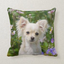 Cute kräm Chihuahua Hund Puppy Photo - Kudde