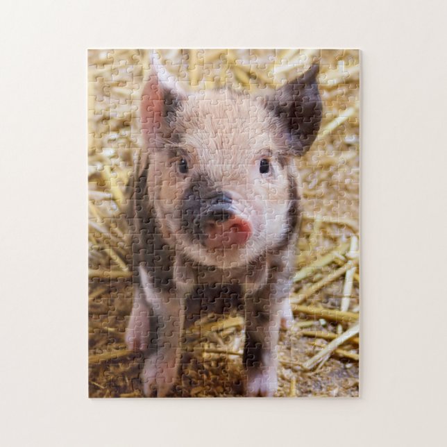 Cute KuneKune Piglet Pussel (Vertikal)