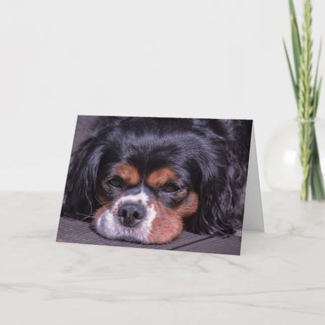 Cute Kung Charles Cavalier Hund Birdday Card Kort (Framsida)