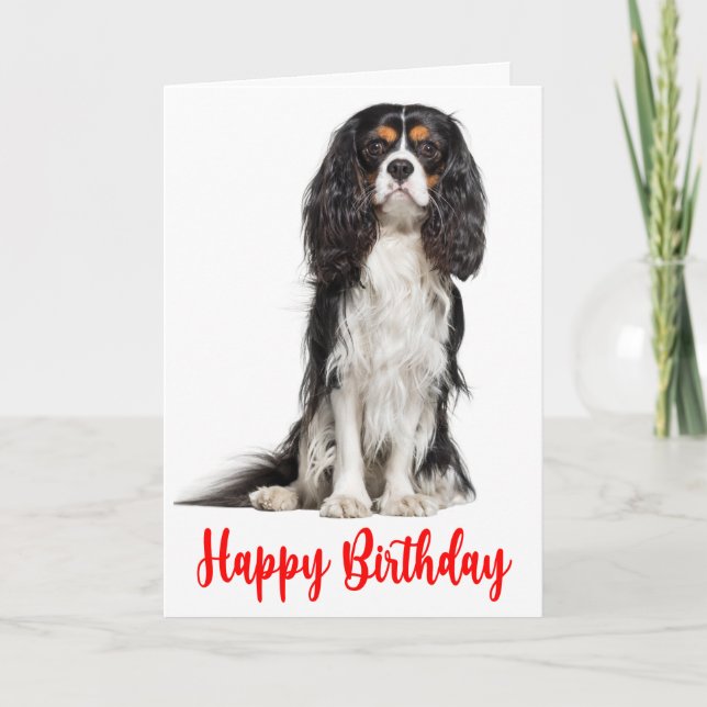 Cute Kung Charles Cavalier Hund Birthday Kort (Framsida)