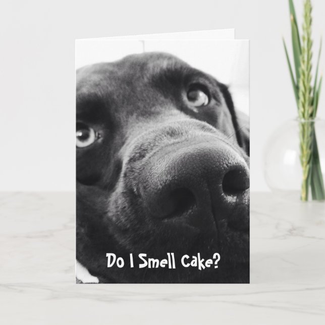 Cute Lab Birthday Card! Kort (Framsida)