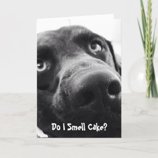 Cute Lab Birthday Card! Kort
