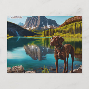 Cute Lab Hund Chocolate Labrador Retriever Animal Vykort