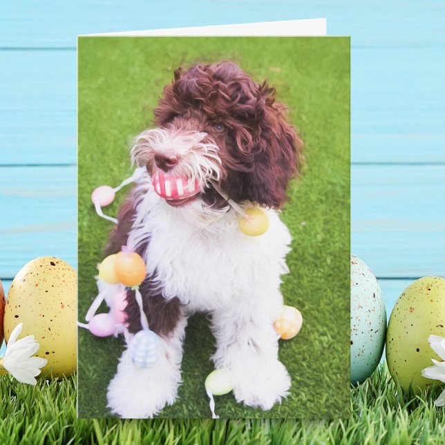 Cute Labradoodle Påskägg Hunt Card Helgkort (Skapare uppladdad)
