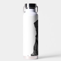 Cute Labrador Black Hund Puppy Pet