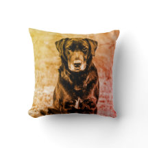 Cute Labrador Black Hund Puppy Pet