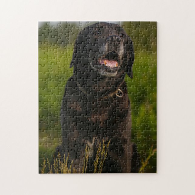 Cute Labrador Black Hund Puppy Pet Pussel (Vertikal)