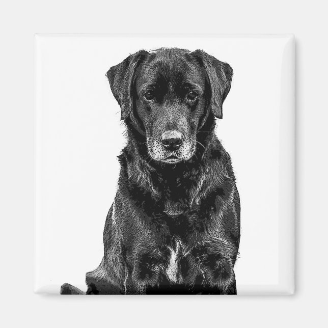 Cute Labrador Black Hund Puppy Pet Sketch Magnet (Framsidan)