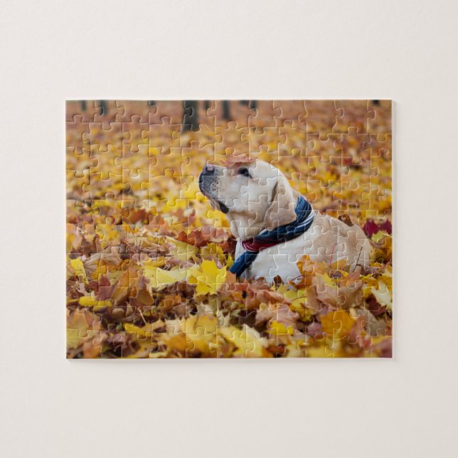 Cute Labrador Hund i Höst löv Pussel (Horisontell)