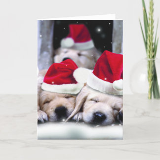 Cute labrador med x-mas-hattar helgkort