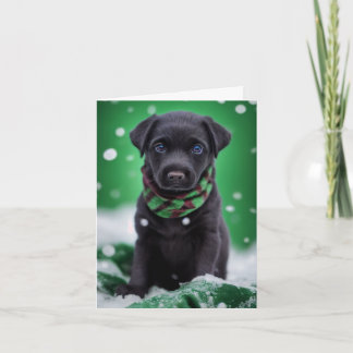 Cute Labrador Puppy i en Grönt Winter Scarf Kort