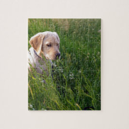 Cute Labrador Puppy i Grass Pussel