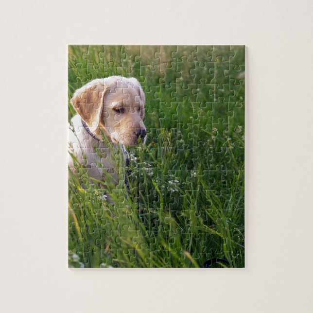 Cute Labrador Puppy i Grass Pussel (Vertikal)