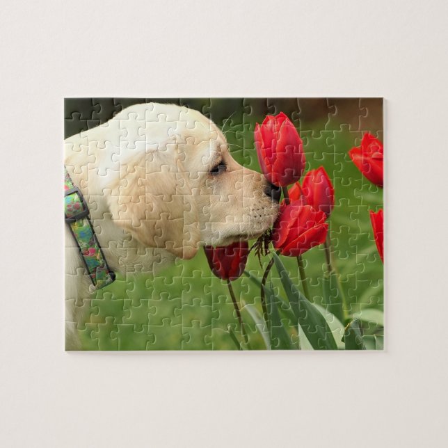 Cute Labrador Puppy Puzzle Pussel (Horisontell)