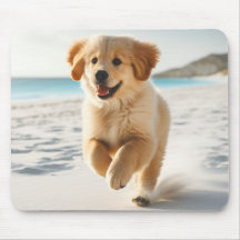 Cute Labrador Puppy Running på Beach