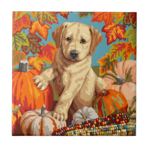 Cute Labrador Retriever Puppy Autumn Harvest Kakelplatta