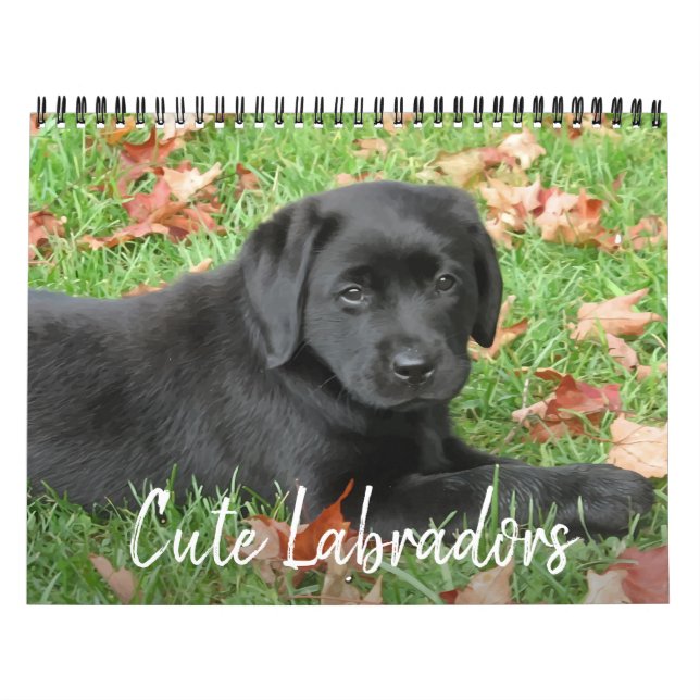 Cute Labradors - Black Labrador Retriever Hund Kalender (Omslag)